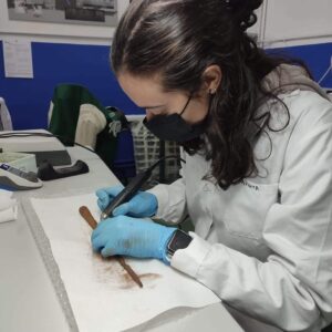 Imagen de Carlota Muñoz Herrero